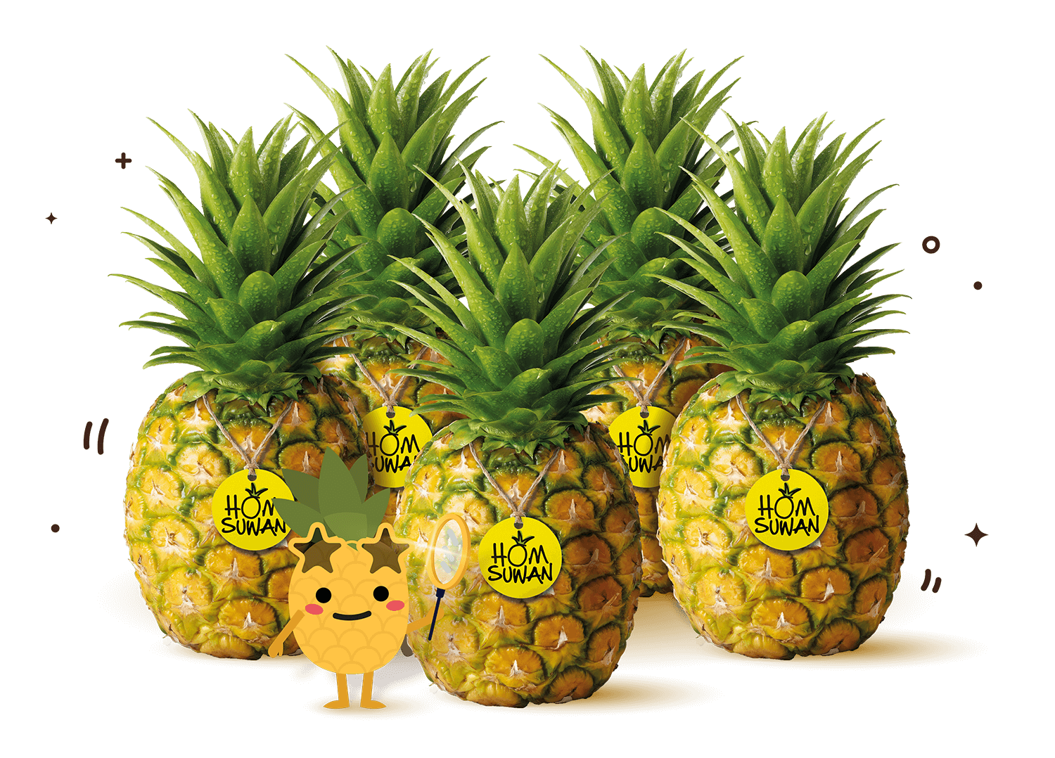 สับปะรด หอมสุวรรณ