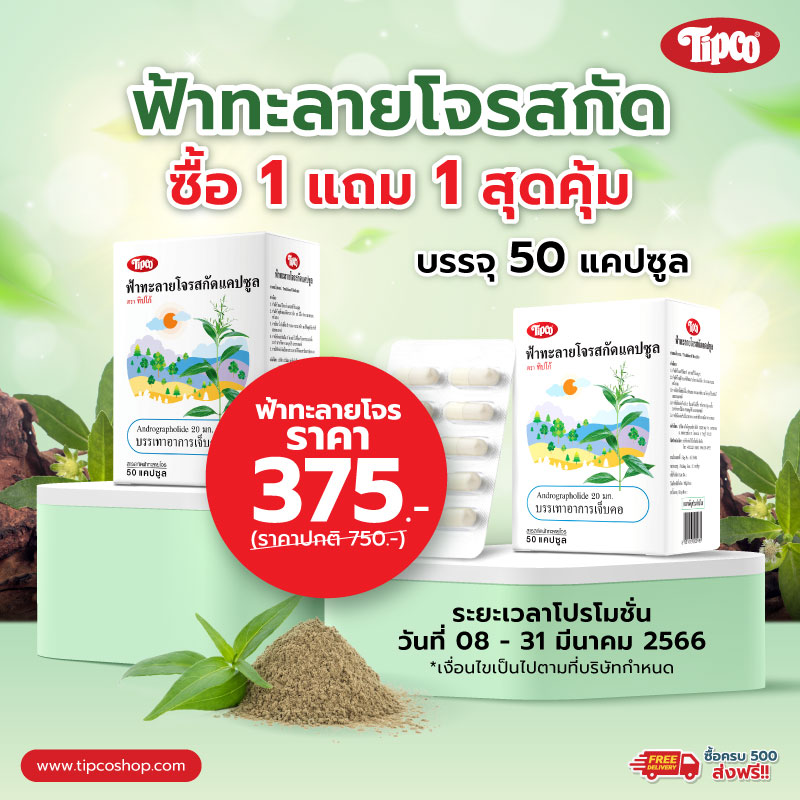 ฟ้าทลายโจรสกัด-800x800