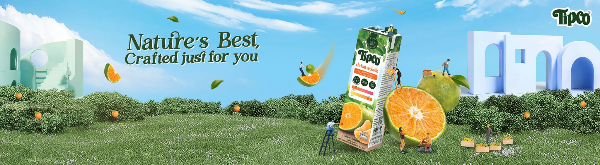 TIPCO